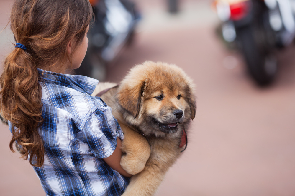 Come costruire un legame profondo con il cane